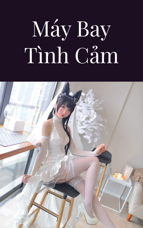 Máy bay tình cảm