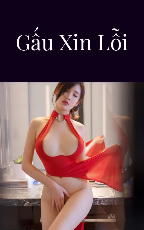 Gấu xin lỗi